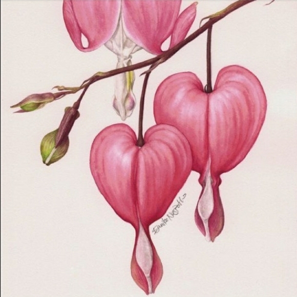 **SOLd*thankyou🌷Dansko Tiffani▪︎MaryJane Clog Sandal▪︎Coral Red Burnished▪︎EU39 - Picture 3 of 16